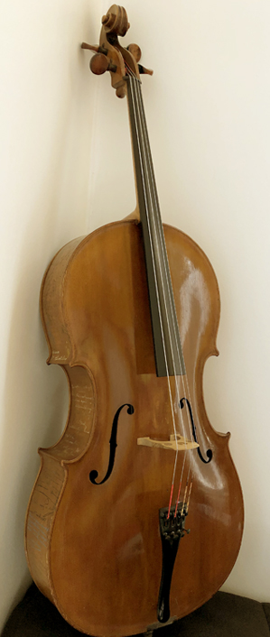Violon_Face